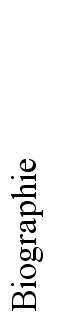 Dichter