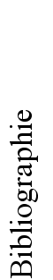 Dichter