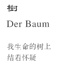 文学家 奥地利: Karl Lubomirski